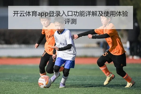 开云体育app登录入口功能详解及使用体验评测